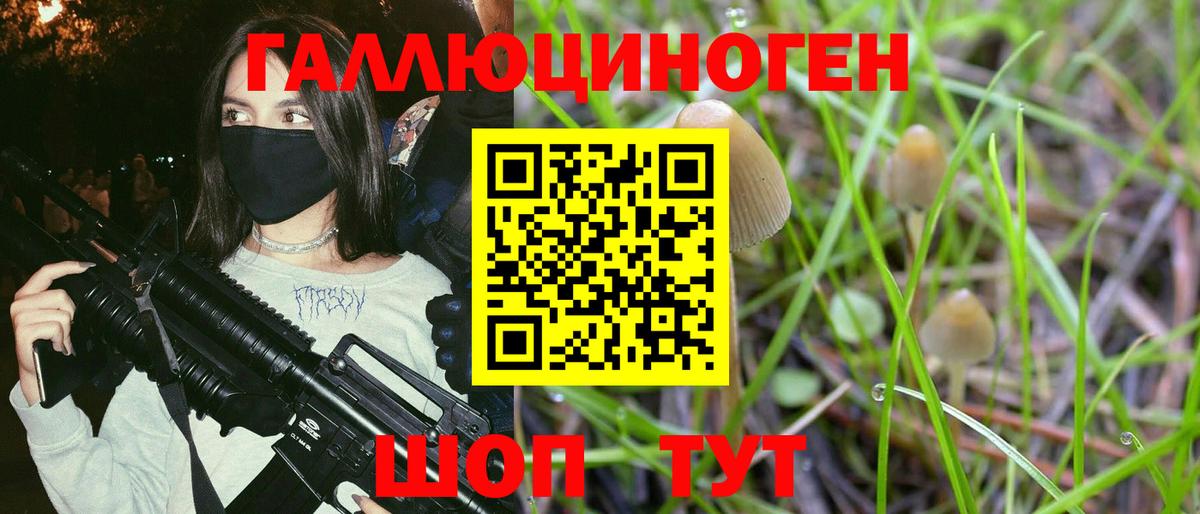 Псилоцибиновые грибы Cubensis  Вход с VPN  Псилоцибиновые грибы мицелий  Моздок 